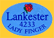 Lankester-4233-1634