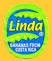 Linda-BCR-0139