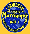 laBananeMartinique-Car-2136