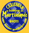 laBananeMartinique-Car-2248