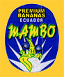 MAMBO-0336