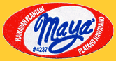 Maya-4237-1306