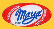 Maya-9361-0404