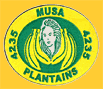 Musa-4235-1917