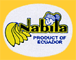 Nabila-E-1439