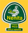 Nenita-4233-0323