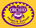 Orchid-Ph-1608