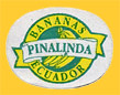 Pinalinda-E-1056
