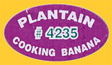 Plantain-4235-0637