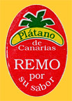 Platano_de_CANARIAS-0821
