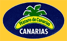 Platano_de_CANARIAS-1130