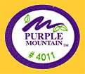 Purple-4011-0971