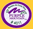 Purple-CR4011-1254