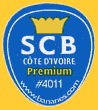 SCB-4011-1352