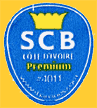SCB-4011-2096