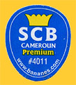SCB-Cam-4011-1012