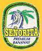 Senorita-2037
