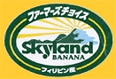 Skyland-1426