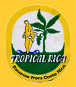 Tropical-Rica-0719