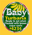 Turbana-Baby-4234-0358