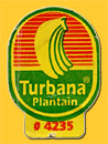 Turbana-Plan-4235-0780