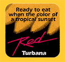 Turbana-Red-0673