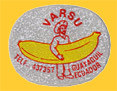 VARSU-0381